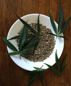 Hemp Seed Butter