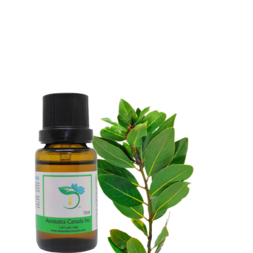 Laurel Leaf Essential Oil