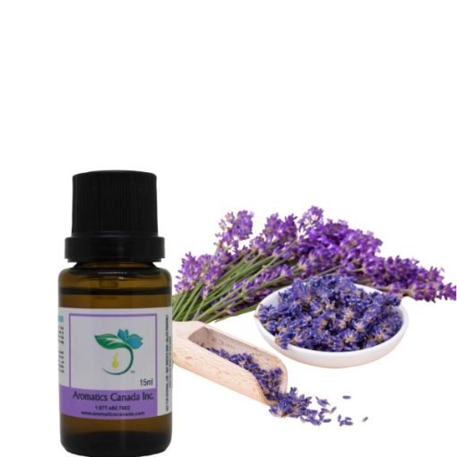 Lavender (Bulgarian) Essential Oil