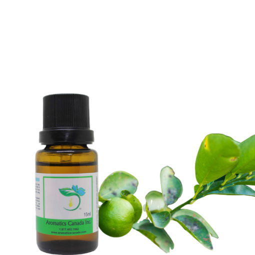 Lime – Key Lime (Peru) Essential Oil