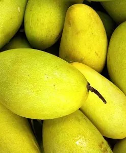 Mango - Ultra Refined Butter