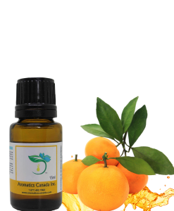 Orange Bitter (Sicily) Essential Oil