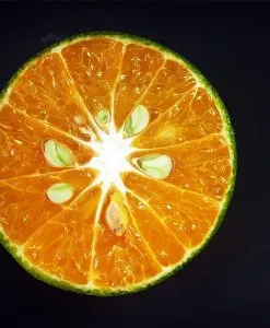 Orange Butter
