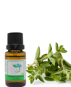 Oregano Essential Oil