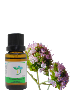 Origanum Essential Oil