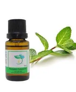 Peppermint Essential Oil