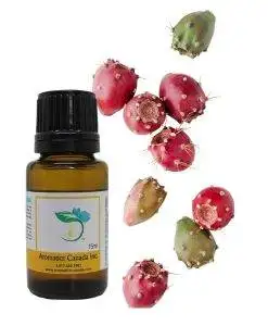 Prickly Pear Carrier Oil