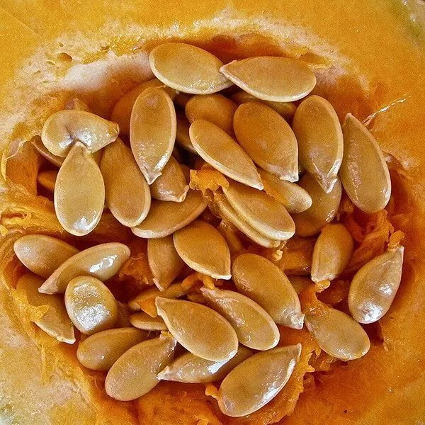 Pumpkin Seed Butter