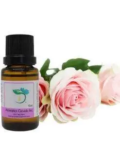 Rose (Bulgaria) Absolute Oil