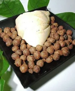 Ucuuba Butter