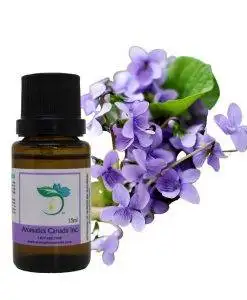 Violet Leaf Absolute Oil