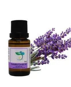 Lavandin (Grosso) Essential Oil