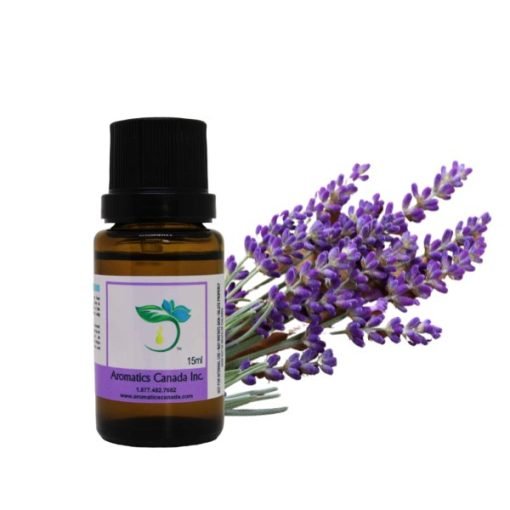 Lavandin (Grosso) Essential Oil