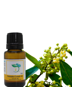 Citral Essential Oil