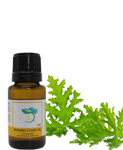 Citronella (Ceylon) Essential Oil