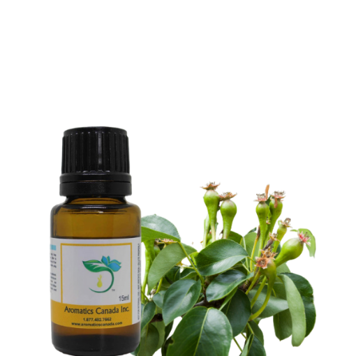 Clove Bud (India) Essential Oil