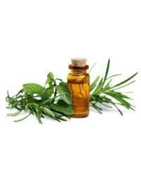 Oils