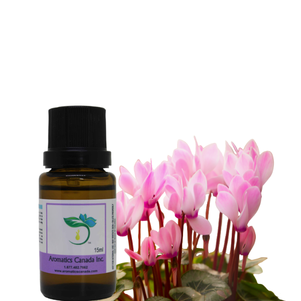 Cyclamen-Absolute-Oil