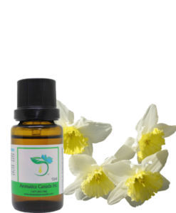 Narcissus Absolute Oil