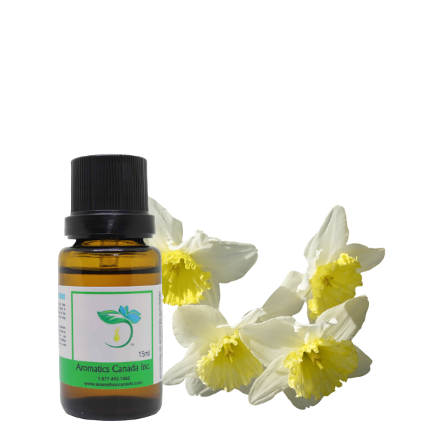 Narcissus Absolute Oil