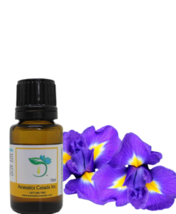 Orris Absolute Oil